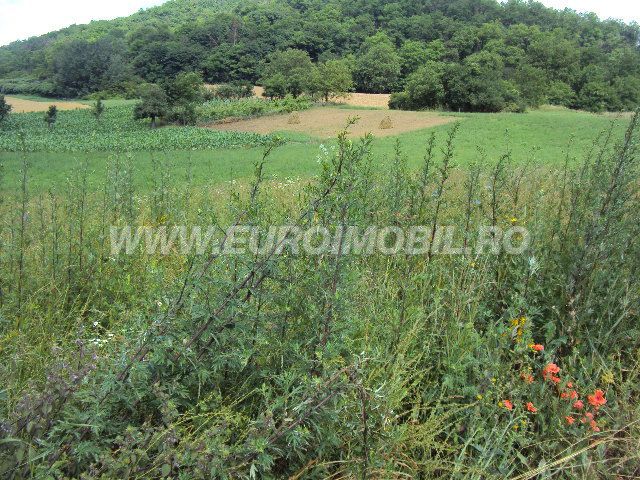 De vanzare teren in Livezeni, cartier Livezeni, zona Livezeni sat