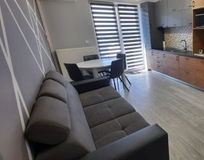De inchiriat apartament 2 camere in Targu Mures, cartier Balcescu - Libertatii