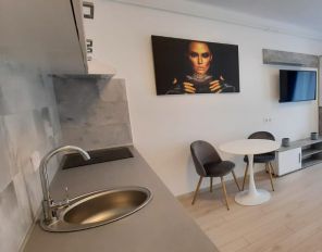 De inchiriat apartament 2 camere in Targu Mures, cartier Balcescu - Libertatii