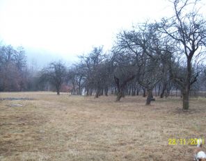De vanzare teren  in Bistra Muresului, cartier Bistra, zona Deda-Bistra