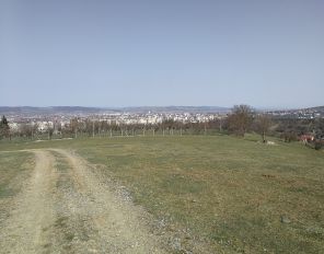 De vanzare teren  in Targu Mures, cartier Viile Dealul Mic, zona Viile Dealul Mic